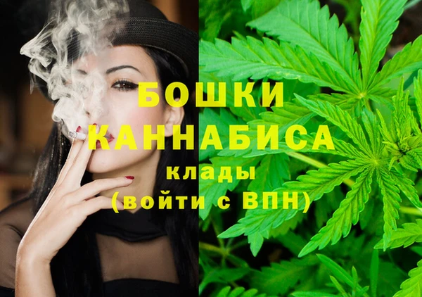 крисы Аркадак