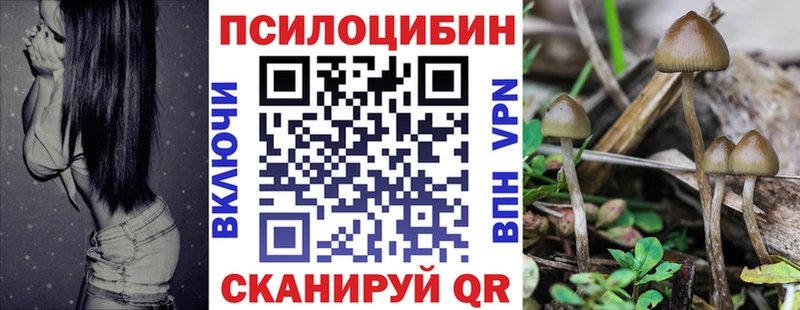 магазин продажи наркотиков  Сухиничи  Псилоцибиновые грибы мицелий 